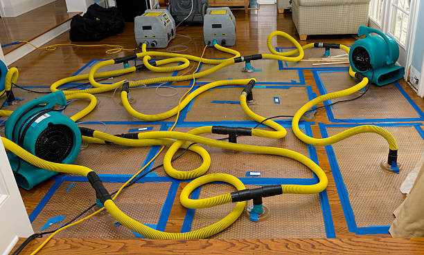 Professional Water Damage Restoration technician working in Walpole, MA